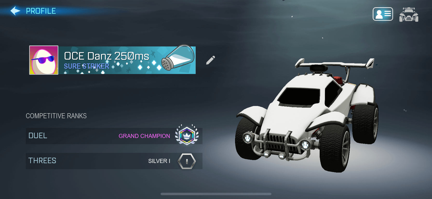 In-game profile screenshot