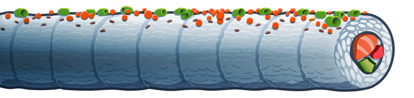Sushi Roll