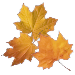 Autumn