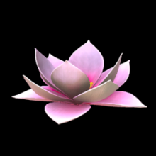 Lotus